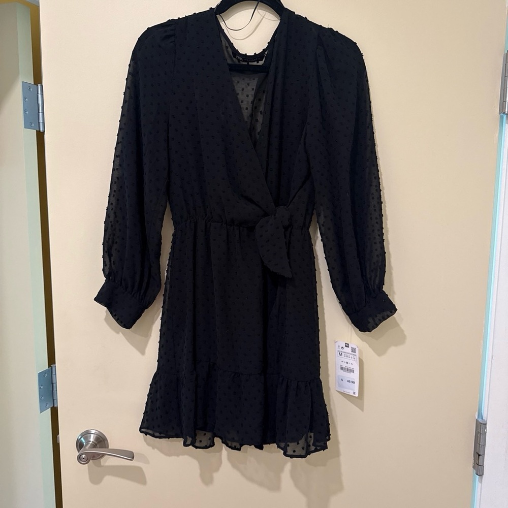 Zara Black Swiss Dot Sheer Blouse
